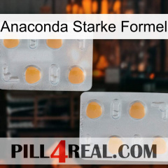 Anaconda Strong Formula 25